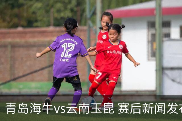 青岛海牛vs云南玉昆 赛后新闻发布会